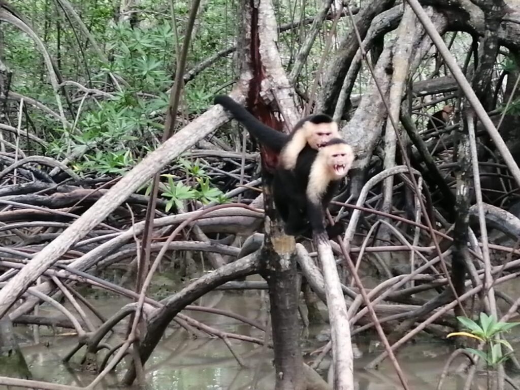 WhatsApp Image 2025-12-18 at 8.40.40 PM (1)