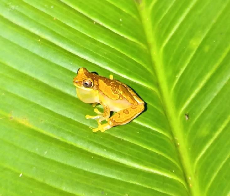 WhatsApp Image 2025-12-19 at 4.58.43 PM (1)