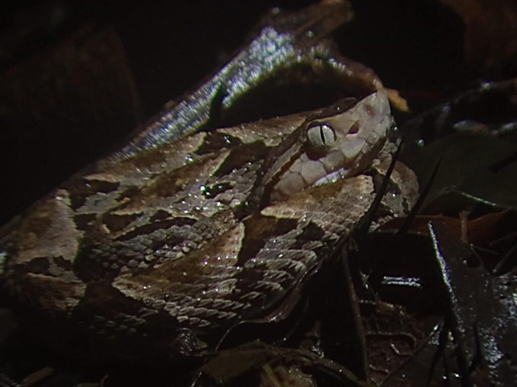 WhatsApp Image 2025-12-19 at 4.58.43 PM