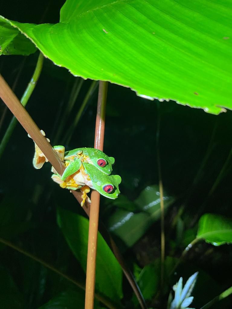 WhatsApp Image 2025-12-19 at 4.58.43 PM (2)