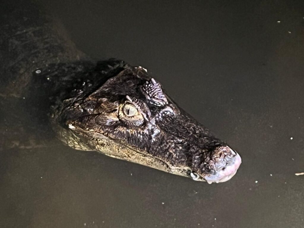 WhatsApp Image 2025-12-19 at 4.58.44 PM (1)