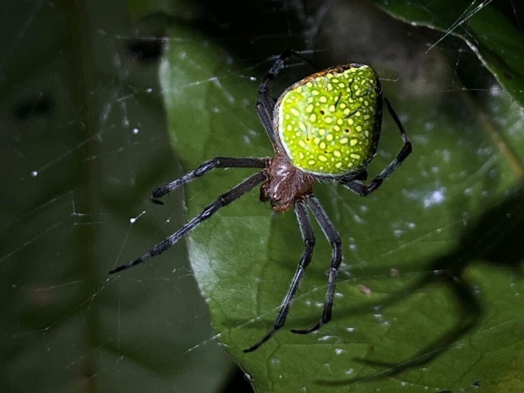 WhatsApp Image 2025-12-19 at 4.58.44 PM