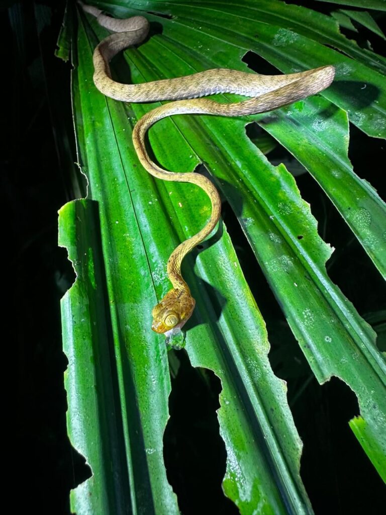 WhatsApp Image 2025-12-19 at 4.58.44 PM (2)