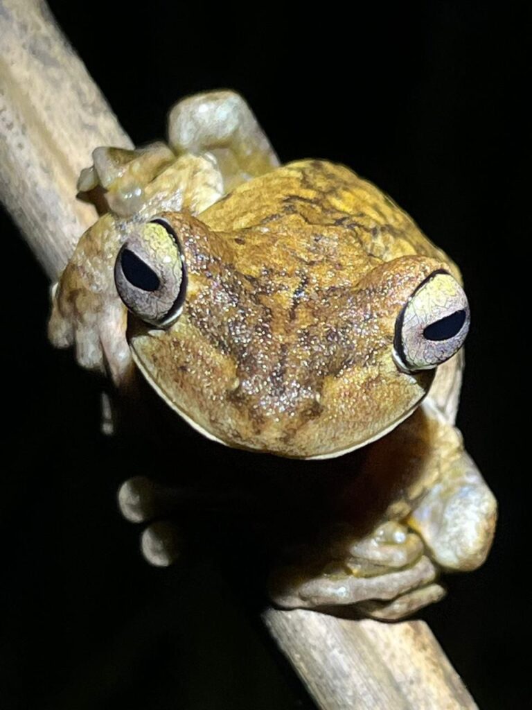 WhatsApp Image 2025-12-19 at 4.58.44 PM (3)